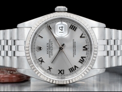 Rolex Datejust 36 Rodio Jubilee Rhodium Roman 16234